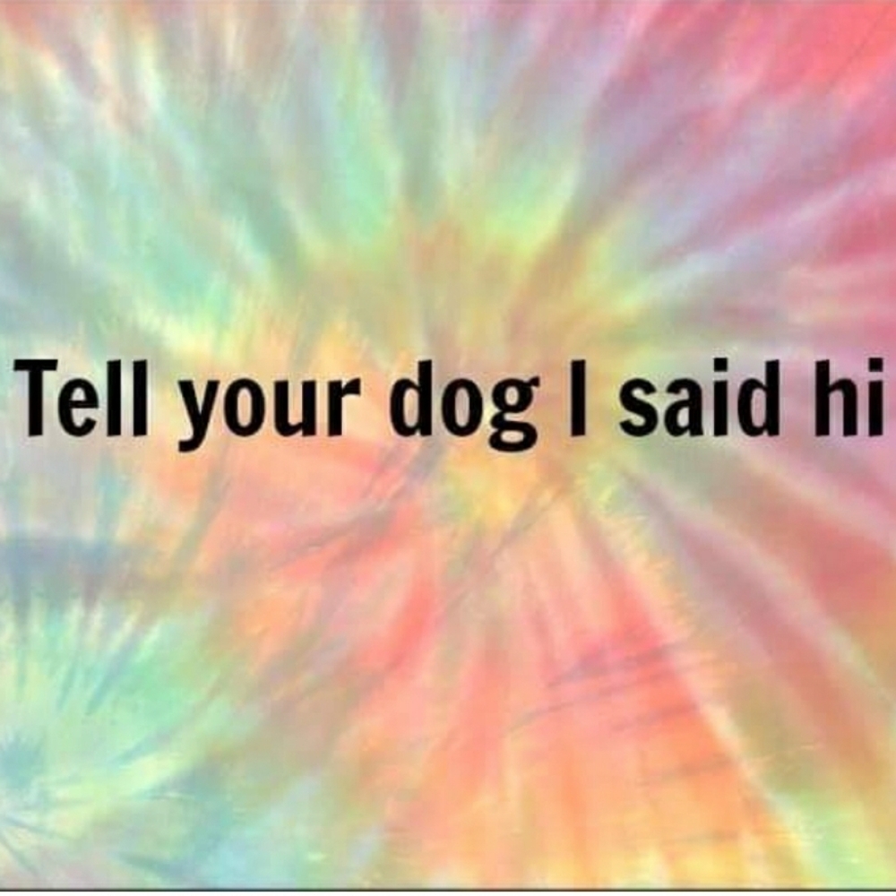 Closet Full of Quirkiness!